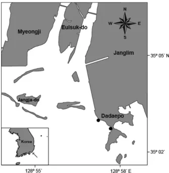 Fig. 2. Diagram of a beach seine used in this study.