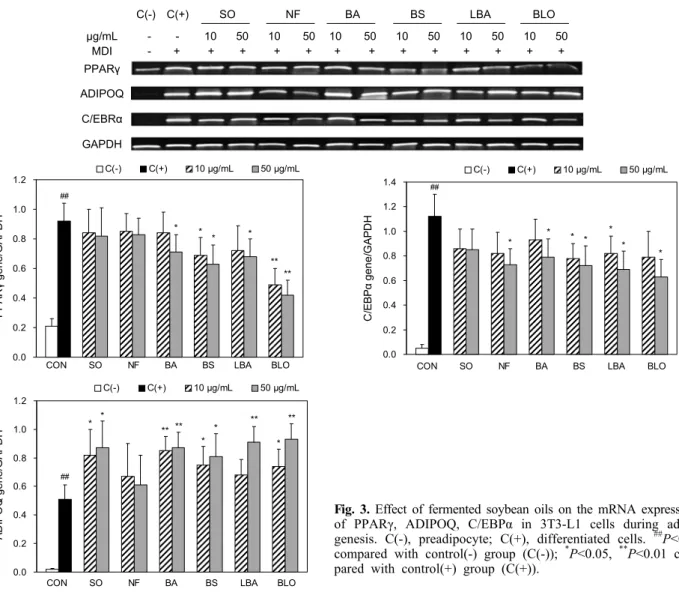 Fig. 3. Effect of fermented soybean oils on the mRNA expressions  of PPARγ, ADIPOQ, C/EBPα in 3T3-L1 cells during  adipo-genesis