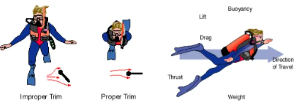 Table 1: Approximate drag forces exerted on a diver  in the vertical and horizontal modes.