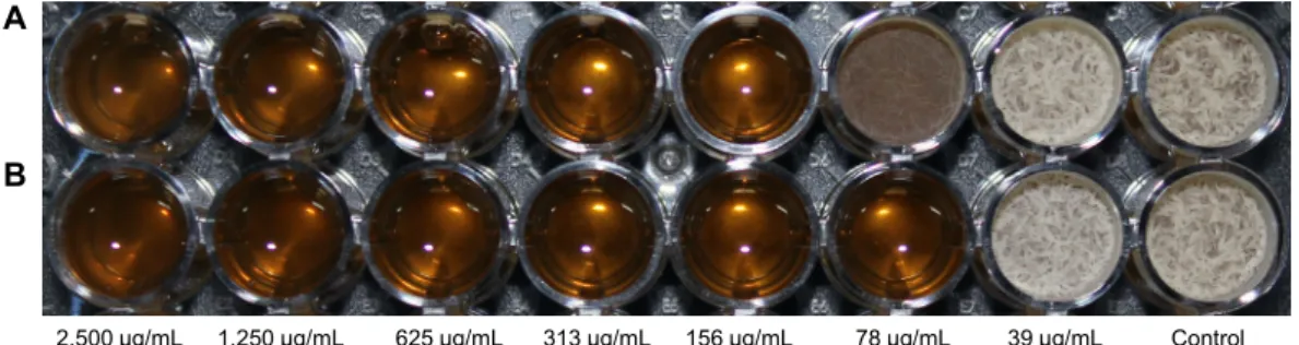 Fig. 2. Effect of defatted green tea seed extract on film-forming of Pichia membranifaeciens in pickle sauce after 2 days at 30°C.