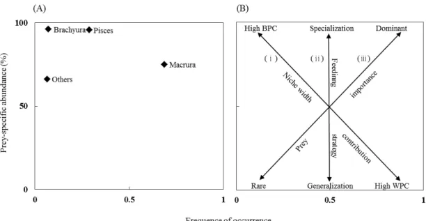 Fig. 3. Graphical representation of diet composition in white croacker, Pennahia argentata.