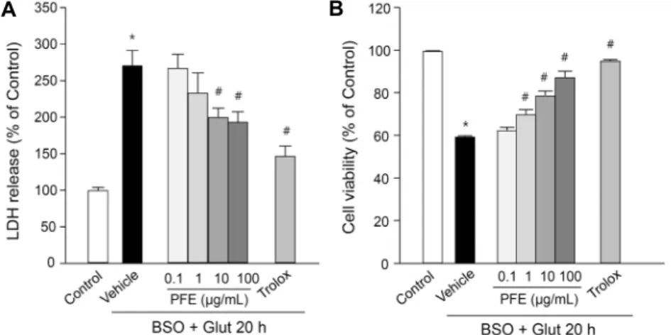 Fig. 2. Effects of PFE on B/G-induced caspase-  3 activation in ssdRGC-5. ssdRGC-5 cells were  incubated with or without PFE (1∼100  μg/mL)  for 30 min before adding 0.5 mM BSO plus 5  mM glutamate, and incubated for 20 h