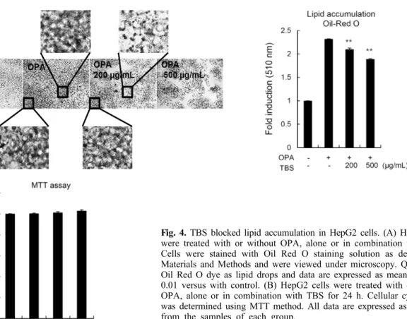 Fig. 4. TBS blocked lipid accumulation in HepG2 cells. (A) HepG2 cells  were treated with or without OPA, alone or in combination with TBS