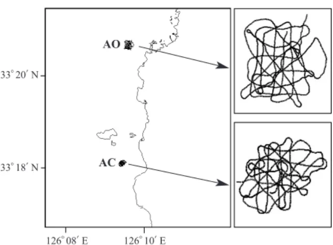 Fig. 3. Ship tracks to investigate the fish distribution around two artificial reefs (AO and AC) on October 2012.