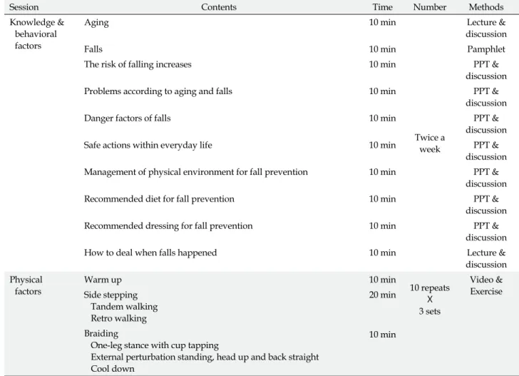 Figure 2. Contents of the fall prevention program.