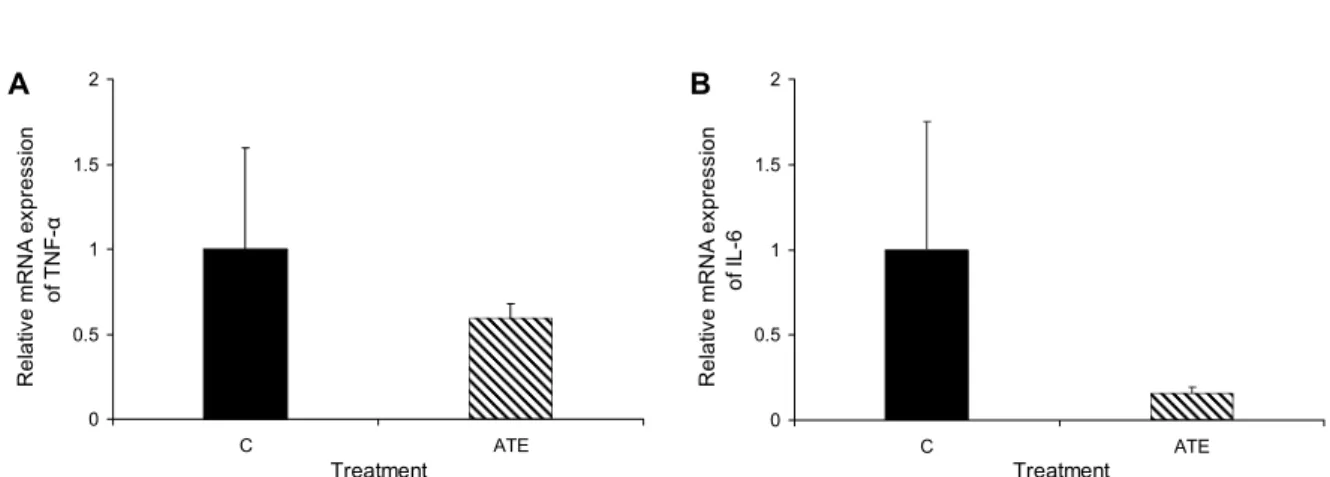 Fig. 4. Effect of the 95% ethanol extract of Acer tegmentosum Maxim on (A) relative mRNA expression of TNF-α and (B) relative  mRNA expression of IL-6 in LPS-stimulated ICR mouse intestinal epithelial cells