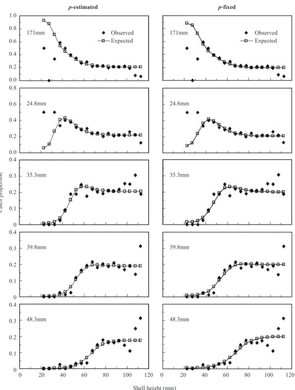 Fig.  2.  Plots of the proportion taken in each mesh pot to the total catch and fitted curves for the two models with p- p-estimated (left) and p-fixed (right).