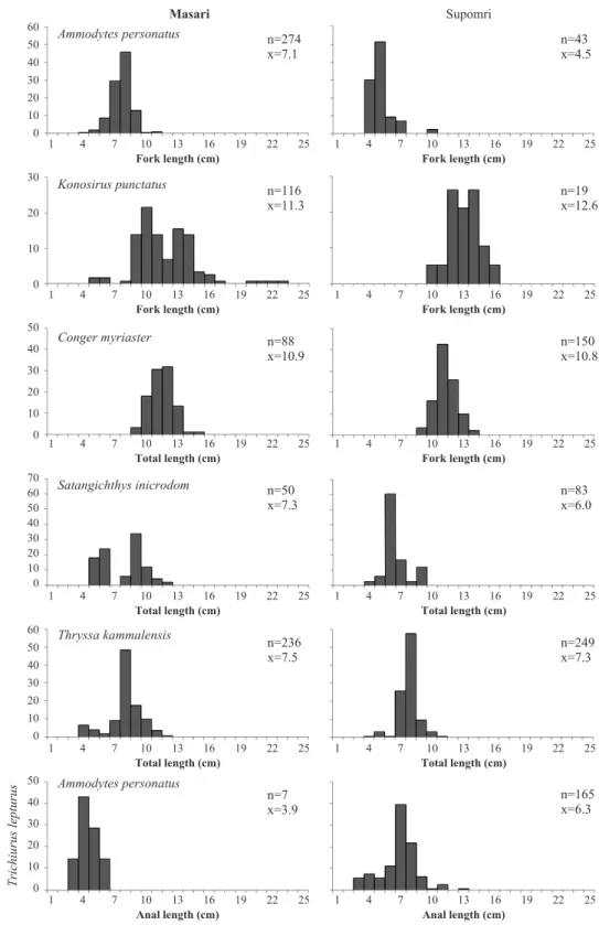Fig. 5. Size distribution of bycatch fish sampled by gape net with wings in the survey area from March to September of 2011.6050403020100302010050403020100706050403020100605040302010050403020100147101316192225147101316192225
