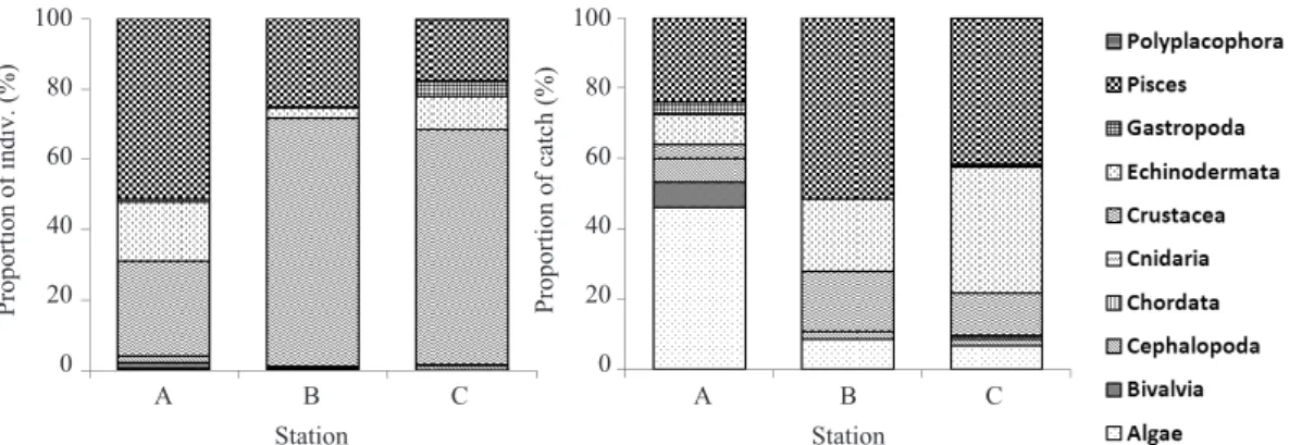 Fig.  5.  Spatial proportion of individuals (left)  and catch (right)  by taxa in the western coastal waters of Namhae Is., Korea