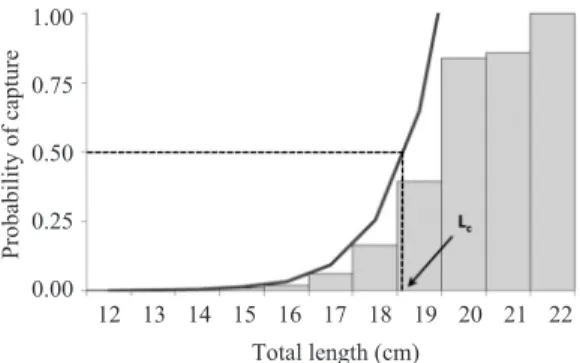 Fig. 2. Probability of capture for each length class (bar) and  cumulative  curve  (solid  line)