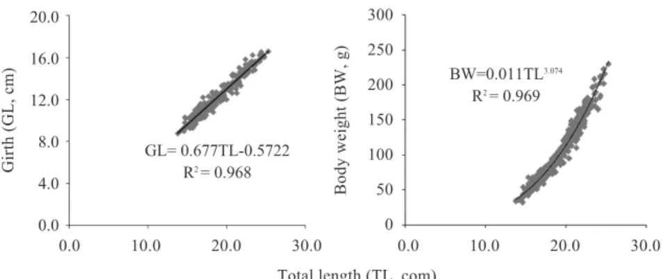 Fig. 8. Relationship between the fork length (FL) and the maximum girth (GL), body weight (BW) of sea perch used in tank experiments, respectively.