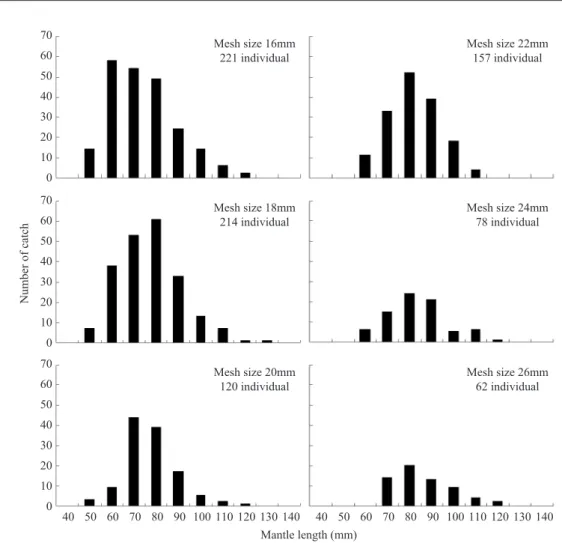 Fig. 4. Catch distributions of common octopus caught in the experimental pots for analyzing selectivity.