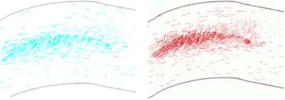 Fig. 12 Evolution of the tip vortex core in the main  stream direction