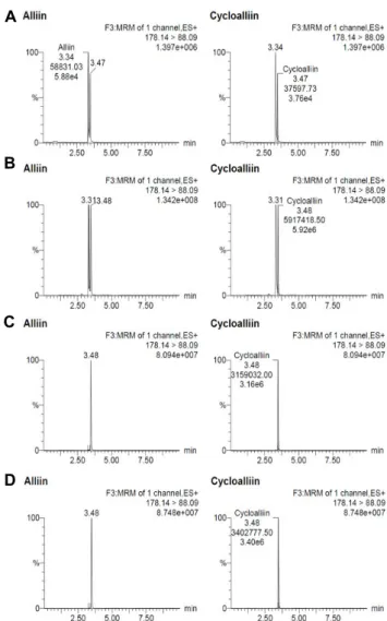 Fig. 1. MRM mass chromatograms for alliin and cycloalliin by  UPLC-ESI/MS/MS in positive mode