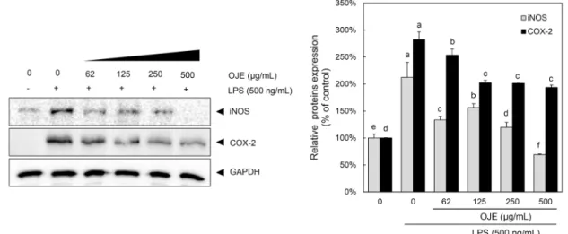Fig. 3. Effect of Oenanthe javanica ethanol extract (OJE) on LPS-induced p-IκBα, IκBα, iNOS, and COX-2 proteins expression  in RAW 264.7 cells