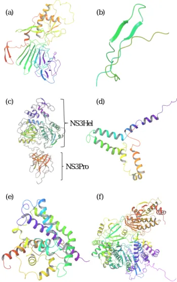 Figure  1.  Model  structures  for  six  nonstructural  proteins  of  ZIKV. (a) ZIKV NS1; (b) ZIKV NS2B, ß-hairpin region; (c)  ZIKV NS3, two functional domains are clearly modeled; (d)  ZIKV  NS4A;  (e)  ZIKV  NS4B;  (f)  ZIKV  NS5