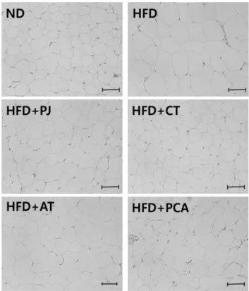 Fig. 1. Epididymal adipocytes surface area of obese rats fed the experimental diets for 9 weeks