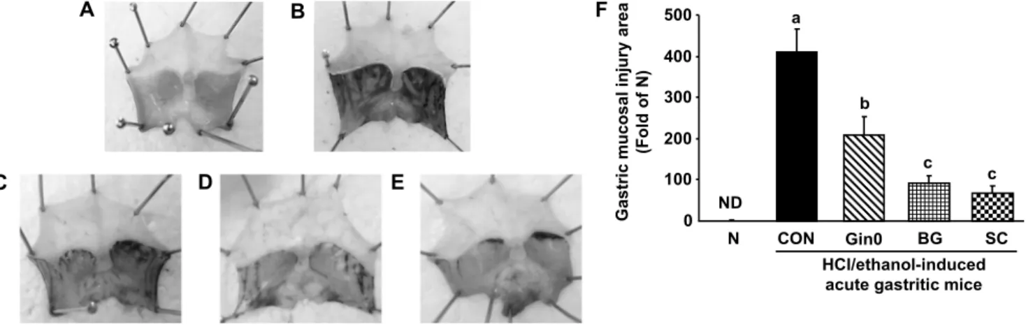 Fig. 1. Gross appearance of stomach tissues in HCl/ethanol-induced acute gastritic mice