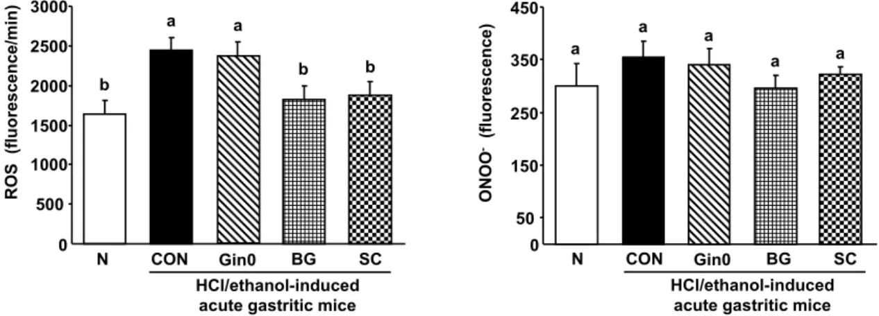 Fig. 2. Effect of black ginseng on oxidative biomarker level of stomach tissues in HCl/ethanol-induced acute gastritic mice
