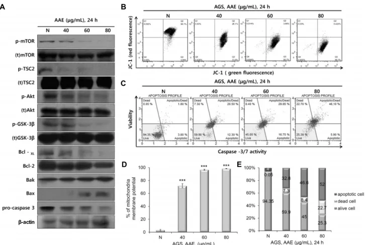 Fig. 3. AAE effects on the expression of apoptosis regulatory proteins and MMP (Δψm), caspase activity