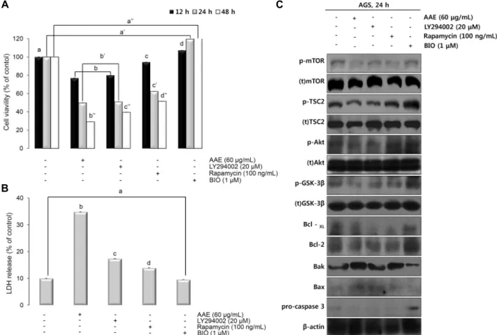 Fig. 4. Effects on cell proliferation and the control of the signal protein via inhibition of Akt/mTOR/GSK-3β