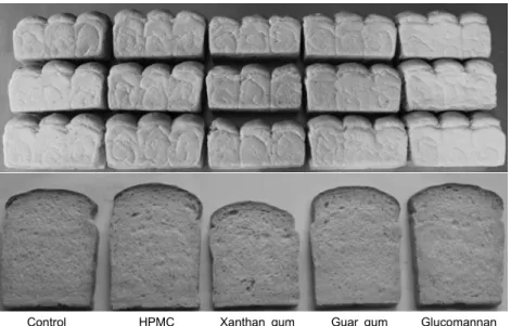 Fig. 1. External and internal shape of pan  bread made with composite flour of wheat  and rice flour containing different types of  hydrocolloids.