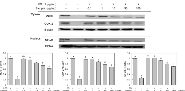 Fig. 5. Effect of Grateloupia crispata ethanol extract on MAPKs expression in RAW 246.7 cells