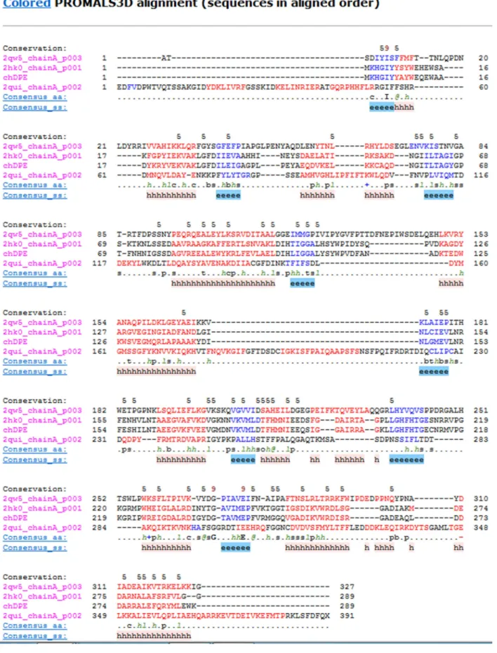 그림  15. PROMAL 3D를  이용한  주형과  chDPE sequence alignment 