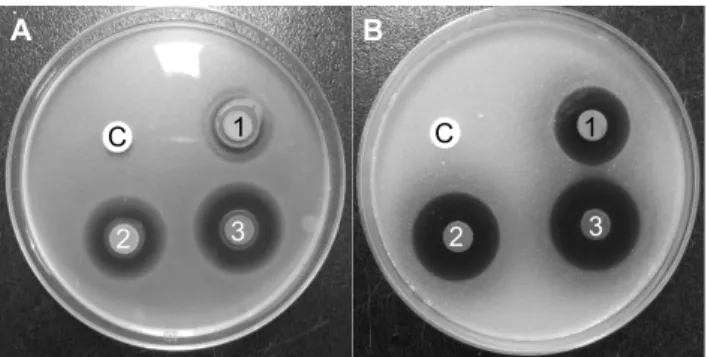 Fig. 1. Antimicrobial activity of Caesalpinia sappan L. 75% 