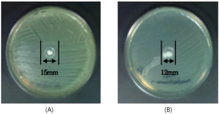 Fig.  2.  The  clear  zone  size  by  antibacterial  activity  of  exopolysaccharide  isolated  from  Tibetan  mushroom  culture  against  foodborne  pathogenic  bacteria  by  agar  well  diffusion  assay