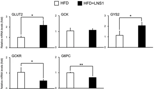 Fig.  1.  The  effect  of  LNS1  on  the  expression  of  genes  that  regulate  hepatic  glycogen  metabolism  in  HFD  fed  mice