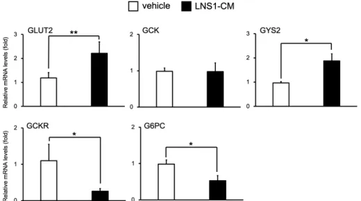 Fig.  2.  LNS1-CM  regulates  the  expression  of  gene  involved  in  glycogen  metabolism  in  HepG2  cells