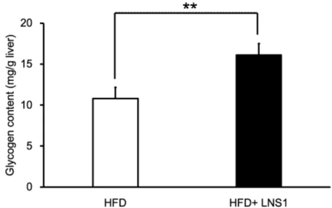 Fig.  3.  Administration  of  LNS1  increased  hepatic  glycogen  content  in  HFD  mice