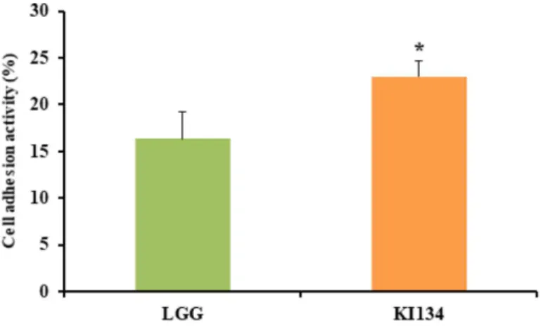 Fig.  4.  Adhesion  ability  of  Lactobacillus  plantarum  KI134  to  HT-29  cell.  All  values  are  within  the  mean±SD  of  the  three  replicates