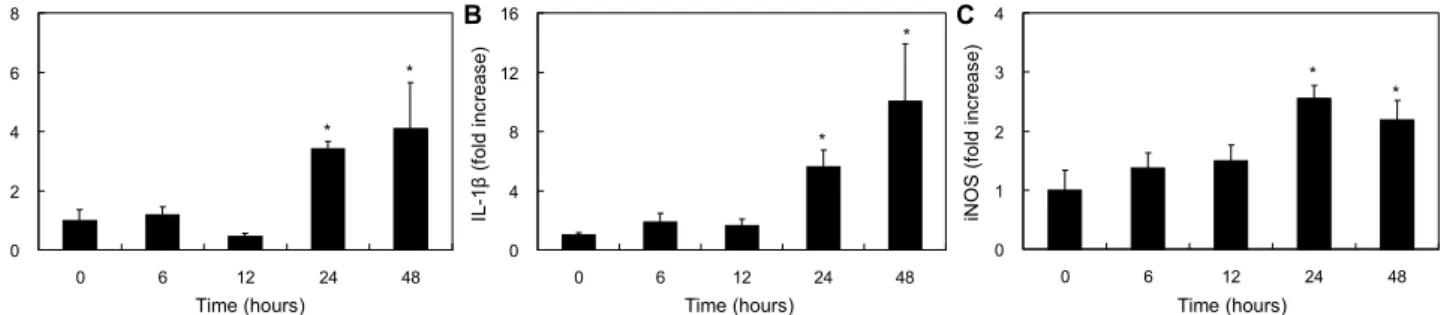 Fig. 4. Expression of inflammatory cytokine in mouse foot by MSU treatment. Values are the mean±SE