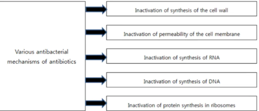 Fig.  1.  Various  antibacterial  mechanisms  of  antibiotics.  Adopted  from  Alvarez-Cisneros  and  Ponce-  Alquicira  with  CC-BY  [1].