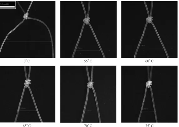 Fig.  6.  Height of the PBS monofilament gill net with double knotted net at various heat setting temperature conditions.20151050 0 55 60 65 70 75Temperature (。C)Height(cm) 0 。C 55 。C 60 。C 65 。C 70 。C 75 。C