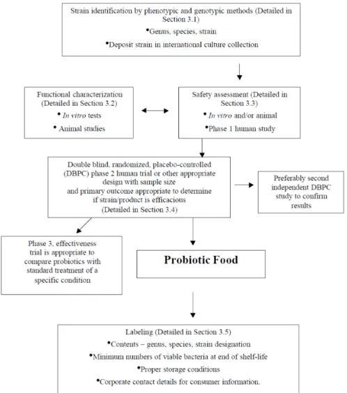 Fig.  6.  Guidelines  for  the  evaluation  of  probiotics  for  food  use  [18].  Copyright  2002  by  FAO  and  WHO.