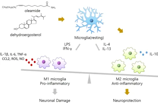 Fig.  1.  Modulation  of  microglial  activation  by  dairy  products  (Modified  from  Ano,  2018)  [71].