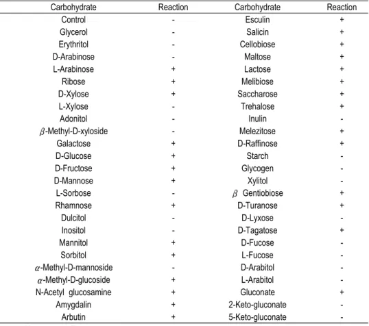 Table  5.  Carbohydrate  utilization  of  the  Lactobacillus  plantarum  KI69  using  the  API  50  CHL  system