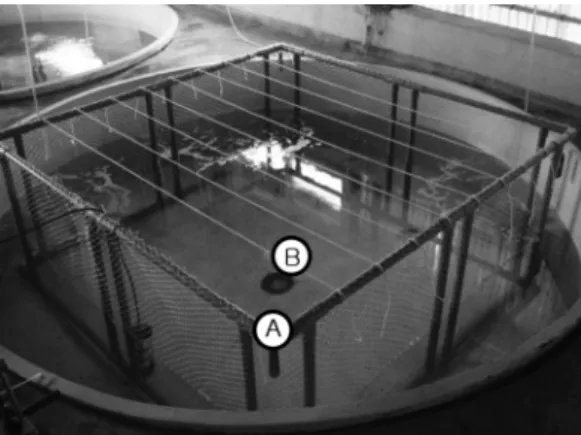 Fig.  3.  The model long line installation scheme (A1-G8: