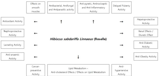 Fig.  1.  The  various  biofunctional  and  pharmacological  characteristics  of  Hibiscus  sabdariffa  Linnaeus  (Roselle).