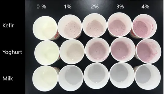 Fig.  5.  The  color  changes  of  market  milk,  yoghurt  and  Kefir  according  to  the  addition  of  the  powder  of  Hibiscus  sabdariffa  Linnaeus  (Roselle)  in  1%  increments,  from  0%  (control)  to  4%,  respectively.