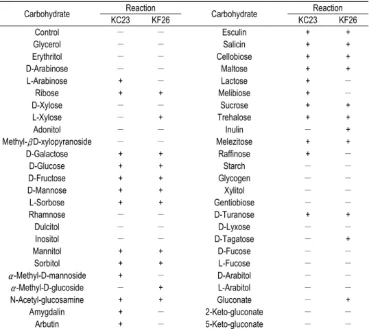 Table  3.  Carbohydrate  utilization  of  the  Lactobacillus  plantarum  KC23  and  L