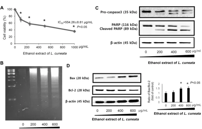 Fig. 1. Effect of Lespedeza cuneata extract on cell growth and apoptotic mechanism in HT-29 cells