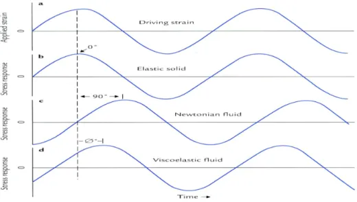 Fig.  4.  Stress  responses  of  an  elastic  solid,  a  Newtonian  fluid,  and  viscoelastic  material  as  a  function  to  time  in  dynamic  SAOR  tests  (Bourne,  2002).