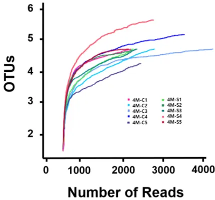Fig.  1.  Rarefaction  curves  of  reads  of  the  bacterial  16S  rRNA  gene  from  Gouda-style  cheese