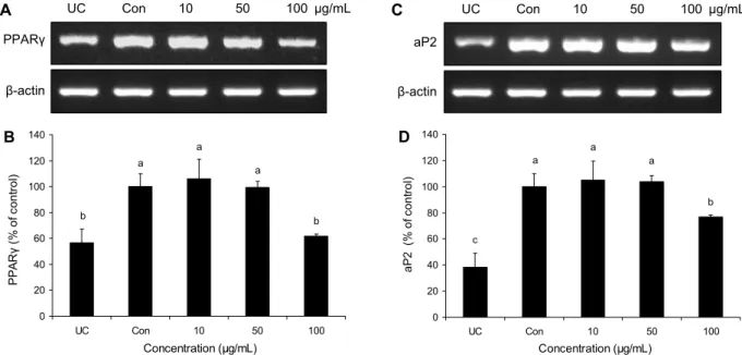 Fig. 4. Effect of corn silk extract on PPARγ and aP2 mRNA expression during differentiation of 3T3-L1 adipocytes