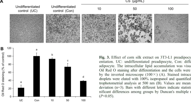 Fig. 3. Effect of corn silk extract on 3T3-L1 preadipocyte differ- differ-entiation. UC: undifferentiated preadipocyte, Con: differentiated  adipocyte