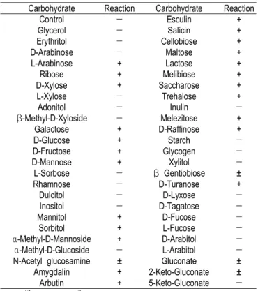 Table  3.  Carbohydrate  utilization  of  the  Lactobacillus  plantarum  K6  using  the  API  50  CHL  system